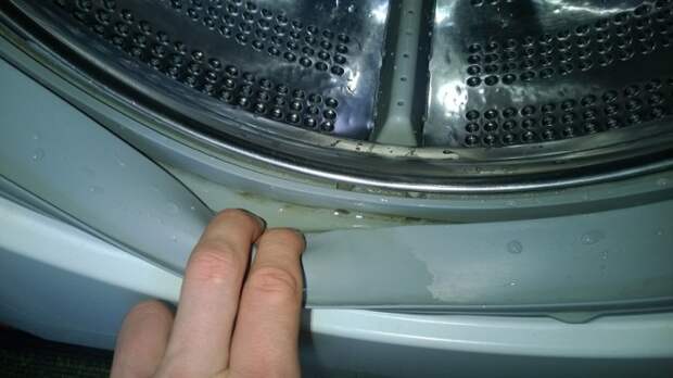 Такие прекрасные дыры образовались в резиновом ободке стиральной машины, который не протирали после стирок. / Фото: 5zvezd.kiev.ua