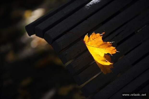 october_010 october_010