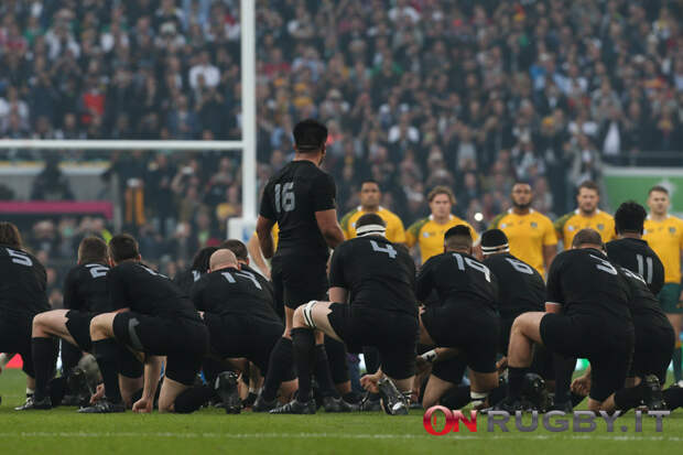 all blacks australia