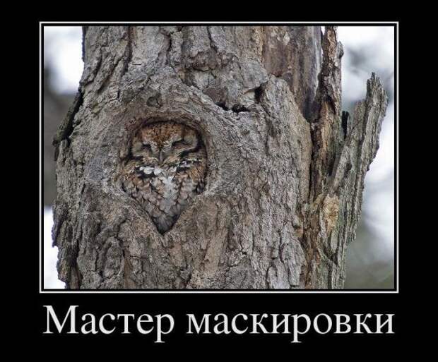 Демотиваторы (30 фото)