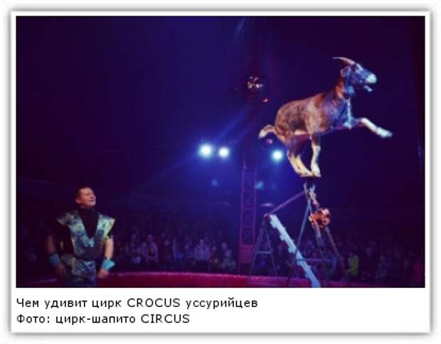 Фото: цирк-шапито CIRCUS