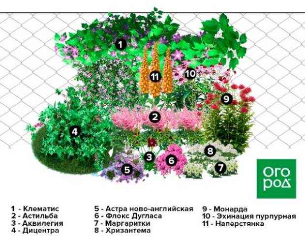 схема клумбы вдоль забора