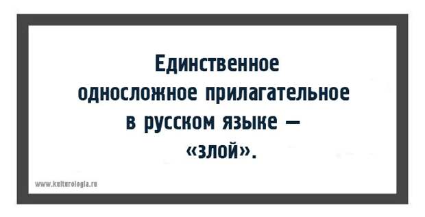 15 малоизвестных, но весьма занимательных фактов о русском языке