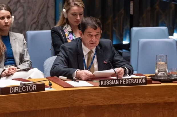 Полянский рассказал, при каком условии России вернется к работе в ПА ОБСЕ