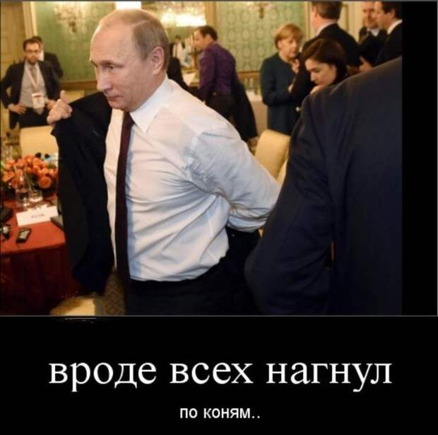 5Jm5nJKjbss.jpg
