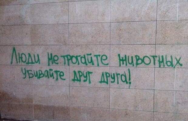 Забавные надписи и объявления