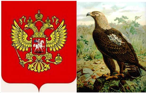 Между тем, это глубоко символично и возможно объясняет многие наши неудачи.