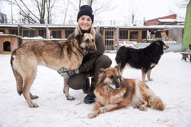 Шелина в Самаре сдружилась не только с Радой, но и с другими собаками Фото: Светлана МАКОВЕЕВА