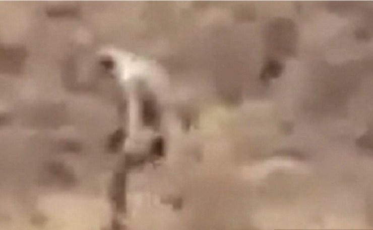 УВеличение не проясняет ситуацию. Странное существо сняли на видео в Португилии