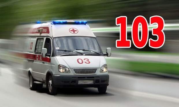 В Кемерово фельдшер "скорой" прошел 15 километров по тайге, чтобы спасти пациента В Кемерово фельдшер "скорой" прошел 15 километров по тайге, чтобы спасти пациента 15 км, Алексей Жеглов, за честь и мужество, подвиг, скорая помощь, фельдшер