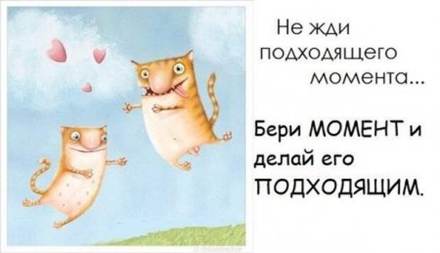 Смешинки в картинках