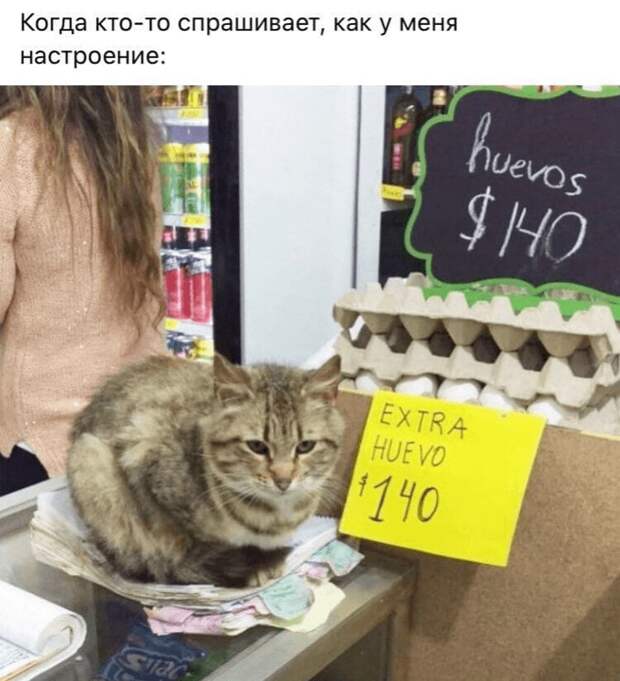 Но вообще, испанский язык прекрасен. Странно, что его еще не запретили полностью Но вообще, испанский язык прекрасен. Странно, что его еще не запретили полностью