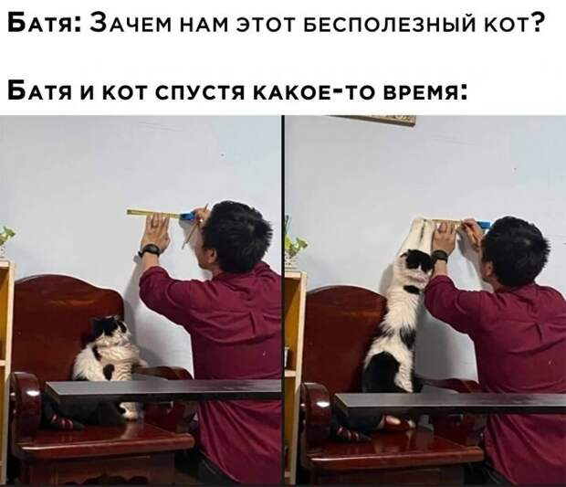 смешные картинки и мемы