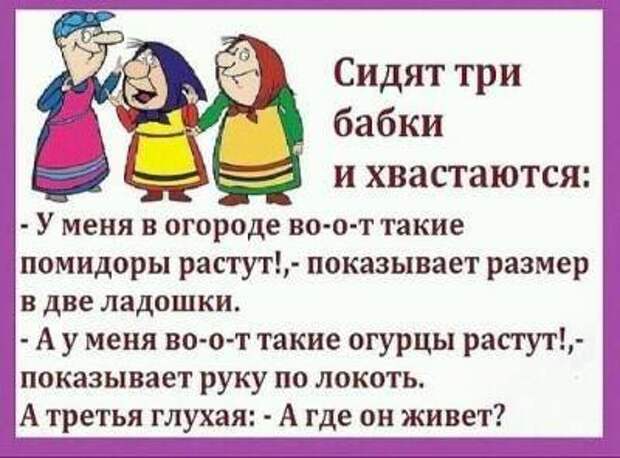 В школе учительница собирает домашние задания. Вовочка говорит...