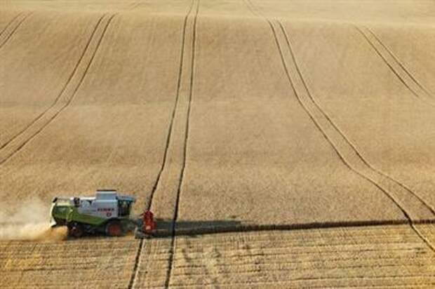 A combine harvests wheat in a field near the village of Suvorovskaya in Stavropol Region, Russia July 17, 2021. Picture taken July 17, 2021. REUTERS/Eduard Korniyenko