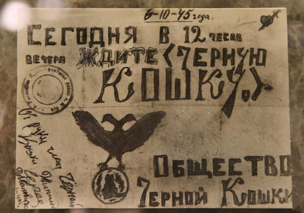 Чёрная кошка