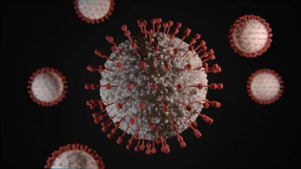 В России выявлен новый вариант коронавируса FLiRT, но он не представляет большой опасности