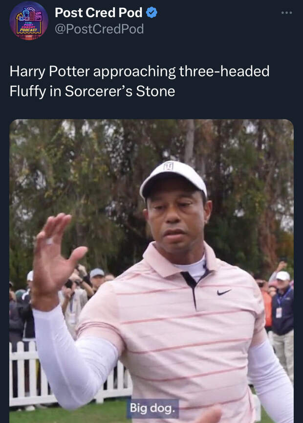 best of the Tiger Woods Big Dog meme