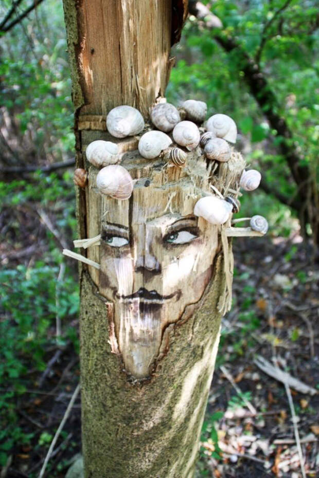 TreeProject13 Забавные лица в лесу