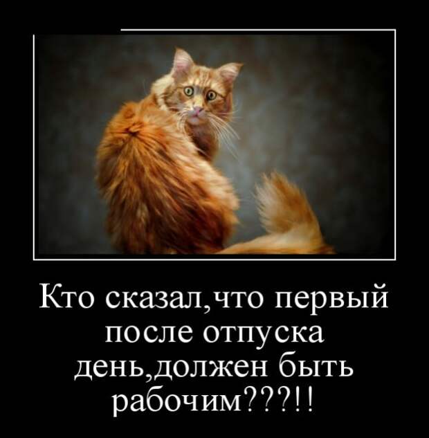 Демотиваторы (30 фото)