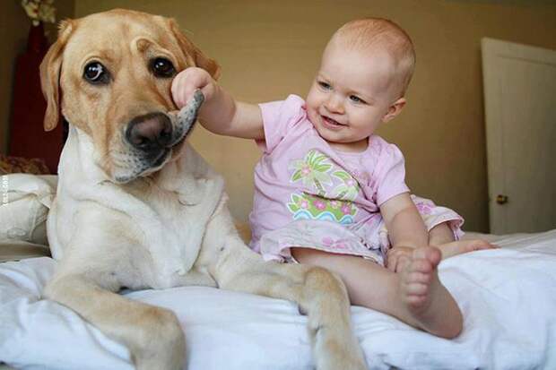 children-with-pets-11