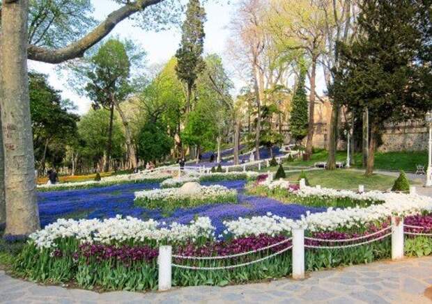 Открытый источник