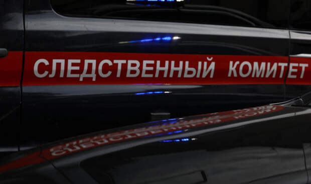 В Башкирии возбудили уголовное дело о халатности после истории с «девочкой‑маугли»