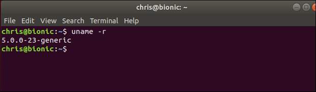 uname command showing Linux kernel 5.0 running on Ubuntu "Bionic Beaver"