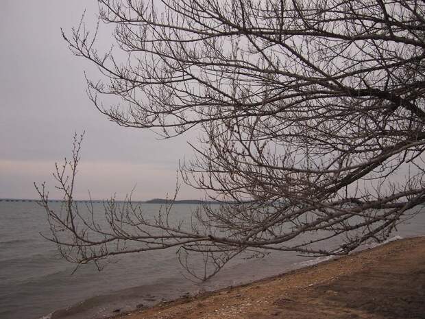 Холод и дождь во Владивостоке начались с понедельника