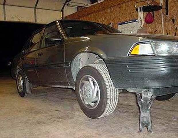 друзьям