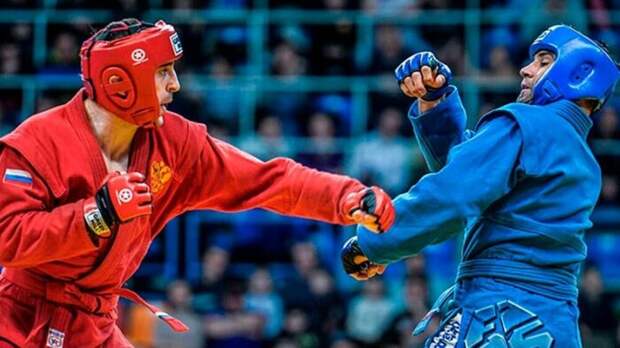 Путин дал поручение Шойгу после инцидента с эсминцем ВМС Британии у Крыма