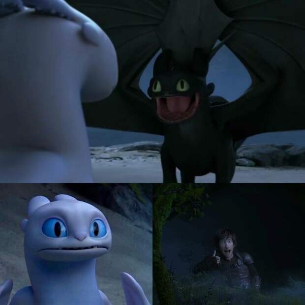 Toothless dancing in front of Light Fury meme