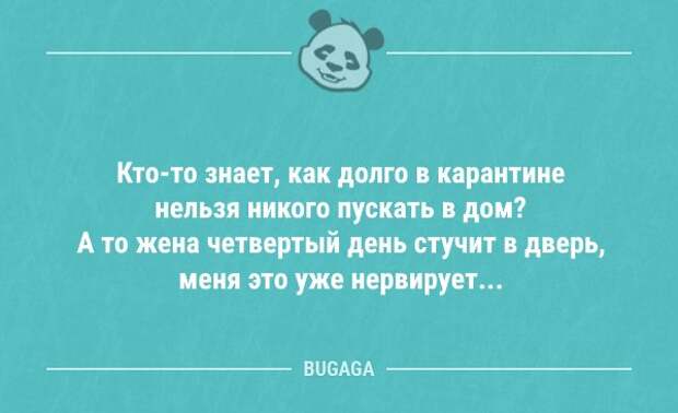 Новая порция свежих анекдотов (15 шт)