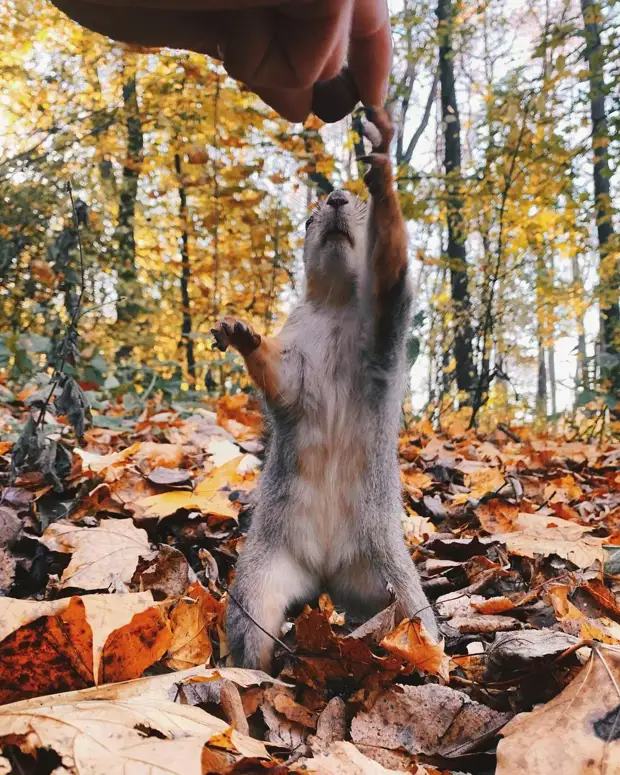 Осенняя сказка Москвы