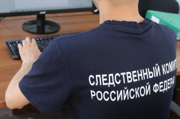 Женщина из Иркутска, обвиняемая в убийстве двоих сыновей, признала вину