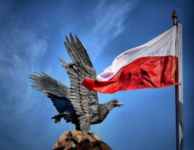 Амбициозная Польша | Русская весна