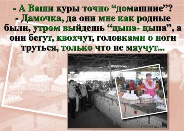 Вы уходите, слава Богу, или остаётесь, не дай Бог? 