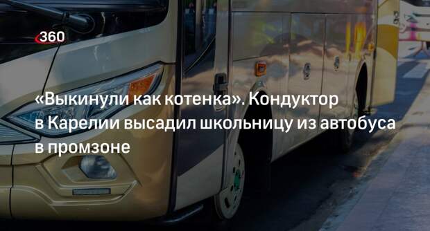 Мать высаженной из автобуса в Карелии девочки рассказала свою версию