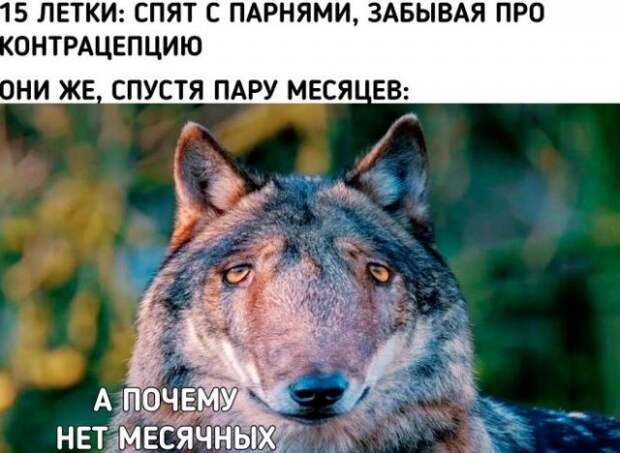 www.vsyako.net