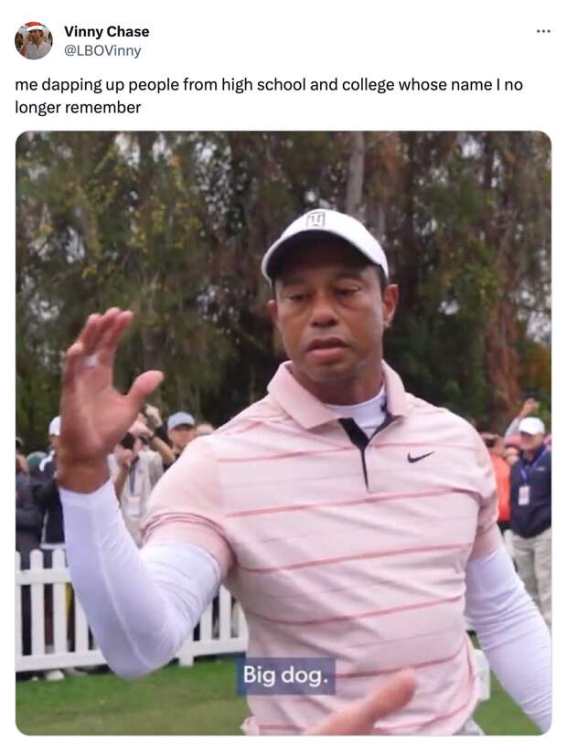 best of the Tiger Woods Big Dog meme