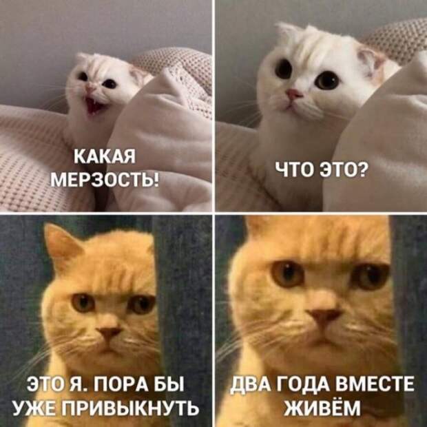 Немного картинок для настроения Немного картинок для настроения