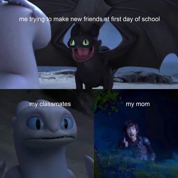Toothless dragon and Light Fury memes