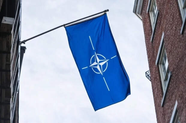 WP: возможный конфликт из-за Гренландии лишит НАТО смысла существования