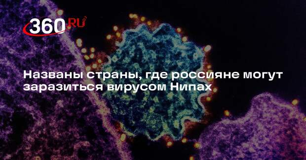 Врач Малинникова: вирус Нипах в основном распространен в Индии, Таиланде и Гане