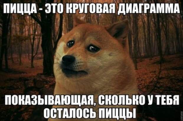 Прикольные картинки в пятницу (39 шт)