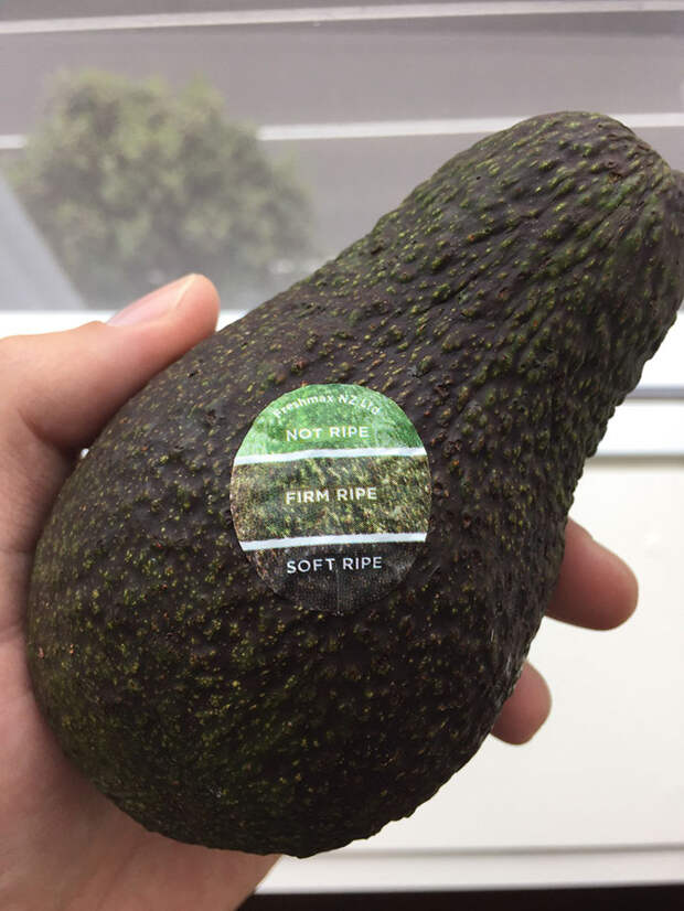My Avocado Has A Color Chart On The Sticker, So You Know When It