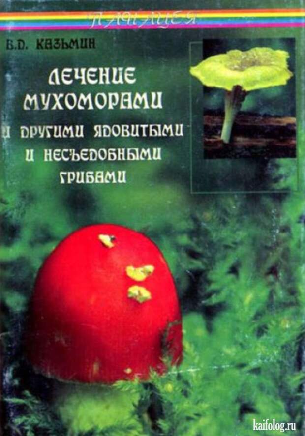 Жуткие и прикольные книги (45 фото)