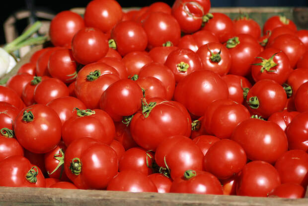 pomidoryi 10 натуральных лекарств для путешественников