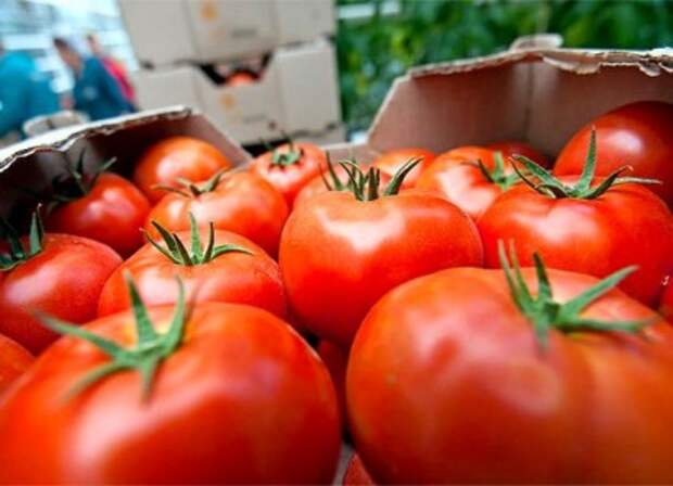 Цены взлетели по самые помидоры