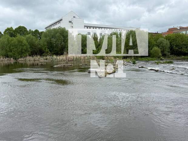 Жители Тулы пожаловались на кучи мусора, плавающие на Пролетарской набережной